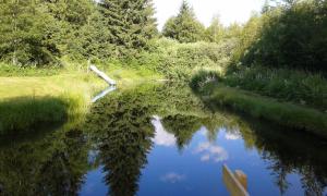 Ferienparadies Wiesenbauer