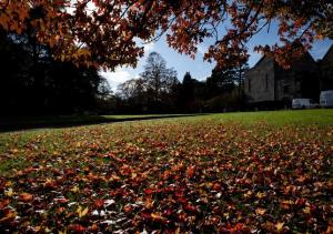 Dartington Hall, Dartington, Totnes, TQ9 6EL, United Kingdom.