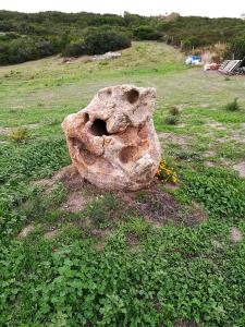 Country House Vignola Mare img94