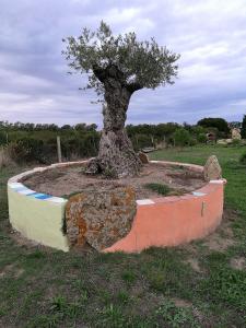 Country House Vignola Mare img96