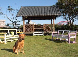 A Hong B&B