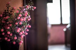 Casa Vacanza il Mandorlo img34