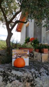 S'umbra de S'ozzastru img3