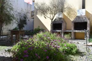 Hippocampus Casas de Mar