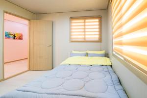 Brassica Flower Pension