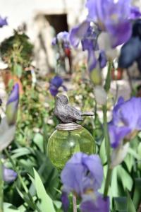 B&B / Chambres d'hotes Domaine Le Bois Des Dames : photos des chambres