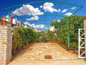 Apartments Jadranka 461