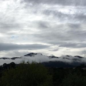 paperkienea - artandrelax