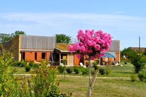 Maisons de vacances Domaine des Bories : photos des chambres