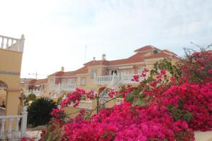 Carolinas aptmt Orihuela