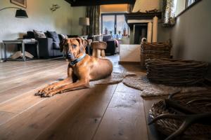 Steinberghaus Ferienhaus