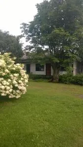 Koti Kiviniemi - Palus