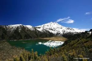 Hotel Lodge Fundo Laguna Blanca - 库拉考廷