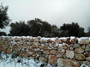 Agriturismo Villa Coluccia