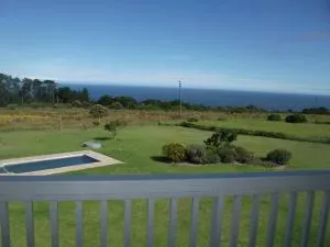 The Noble Ant - Pacaltsdorp