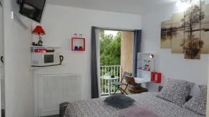 Chambre 1 PERSONNE et STUDIO 1 personne Avec Entrée Libre et Salle de Bain Privée - 图尔内菲乌勒