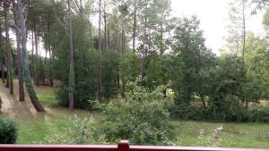 Appartement dans résidence de vacances