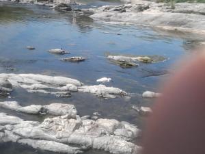 Aires de San Antonio