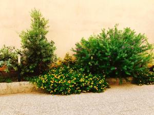 Appartamenti Sant Andrea