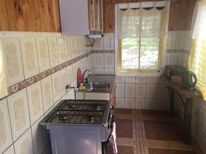 Cabañas Aliwen Panguipulli