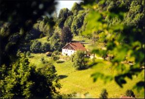 B&B / Chambres d'hotes La Ferme du Vieux Sapin : photos des chambres