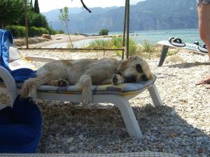 Appartamento Casa Luisa Malcesine