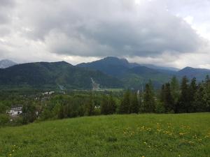 Apartament fh gala Ciche Polska