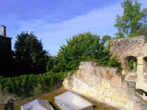 B&B / Chambres d'hotes Vignobles Fabris : photos des chambres