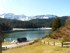 Maisons de vacances Gite Du Montagnol A Payolle : photos des chambres