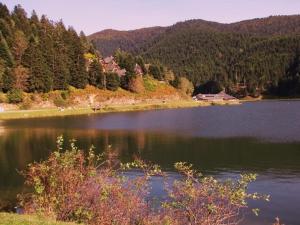 Maisons de vacances Gite Du Montagnol A Payolle : photos des chambres