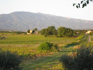 Auberge Du Vin photo 15