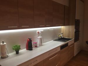 Triplex Residence, Lux-appartment in the central part-exclusive view!