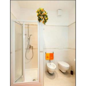 Domus Ines Roma San pietro