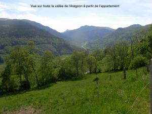 Appartements Vacances au pied des Monts du Cantal : photos des chambres