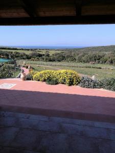 Country House Vignola Mare img83