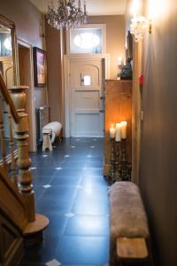 B&B Pastorie van Merkem