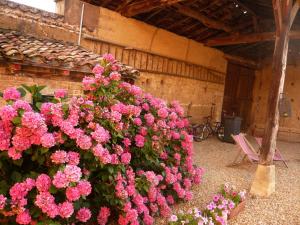 Maisons d'hotes Bed & Breakfast - Maison de Marie : photos des chambres