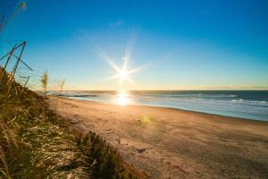 Garden, Holiday homes - Lincoln City