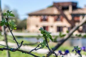 Quadruple Room with Garden View room in Valgrande Bibione Casone
