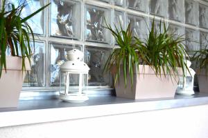 Sunny 1 room apartment with the view over Cracow