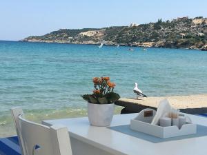 Almiris Seaside Apartments Chania Greece
