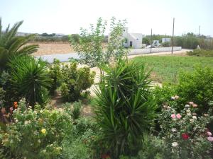 Joanna Apartments Naxos Greece