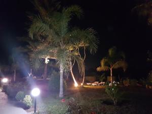 Eftihia Apartments Kos Greece