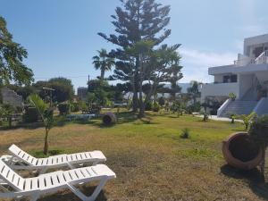 Eftihia Apartments Kos Greece
