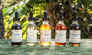 The Source Herbal Detox Retreat