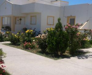 Nikos 2 Studios & Apartments Kos Greece