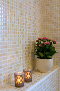 Apartments Topli Bok