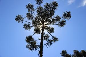 Pousada Naturalmente