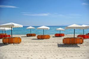 Alexander the Great Beach Hotel Halkidiki Greece