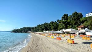 Alexander the Great Beach Hotel Halkidiki Greece